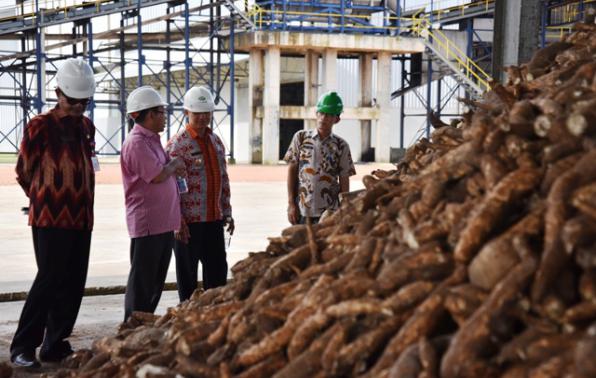 Wabup Bangka Syahbudin Tinjau Pabrik Tapioka di Puding ...